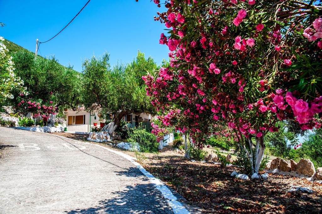 Rogakia Village Est. 1983 Zóla Kültér fotó